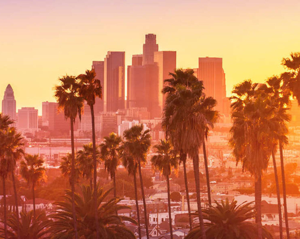 Made in LA